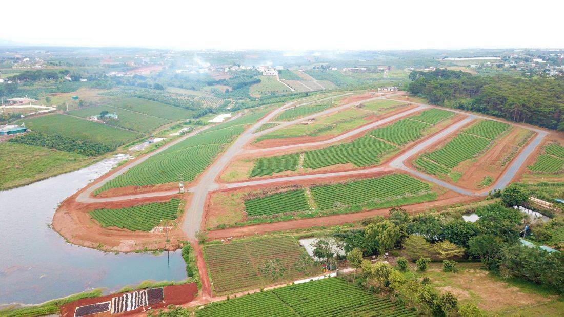 Lâm Đồng ngăn chặn lợi dụng tách thửa đất để biến tướng đầu tư các dự án bất động sản - CafeLand.Vn...