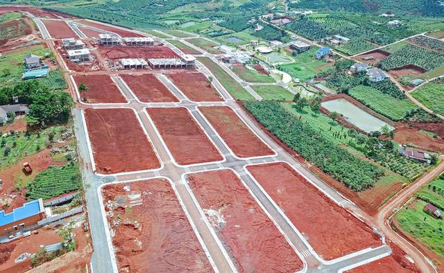 Cầu nhiều, cung ít, đất nền tách thửa chiếm sóng đầu tư tại Lâm Đồng - CafeLand.Vn