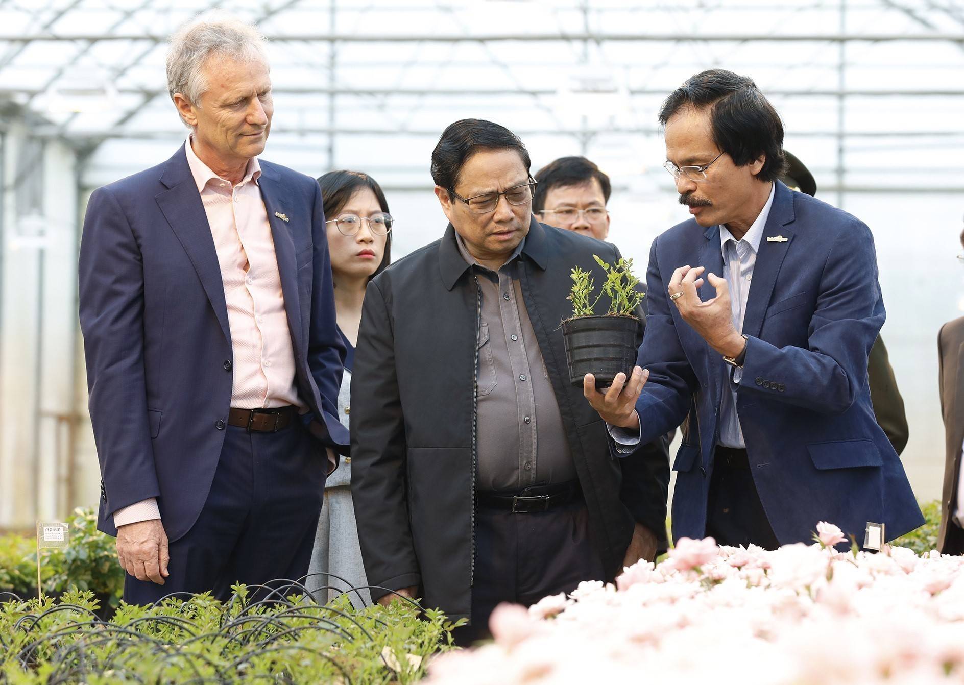 Thủ tướng: Đưa Lâm Đồng trở thành động lực tăng trưởng của Tây Nguyên và cả nước