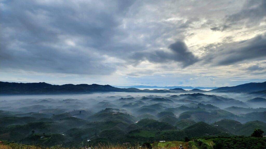 Lộc Thành Bảo Lộc