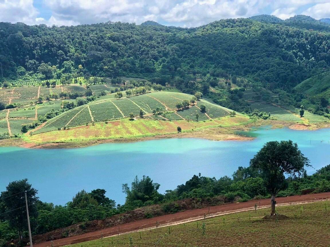 Hồ Ngọc Lộc Tân