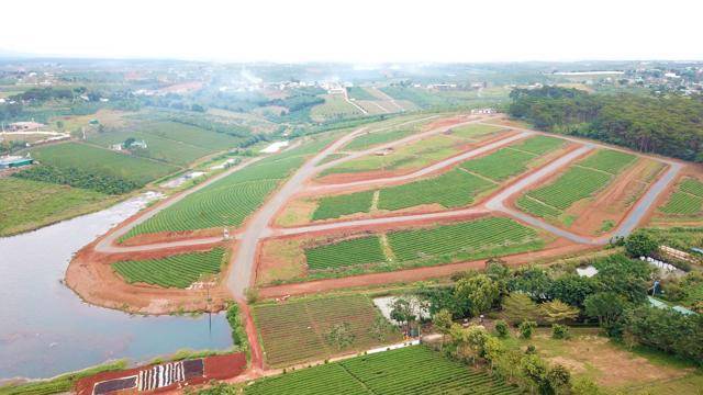 Hé lộ kế hoạch chuyển mục đích sử dụng đất tại tỉnh Lâm Đồng trong năm 2024 - CafeLand.Vn...