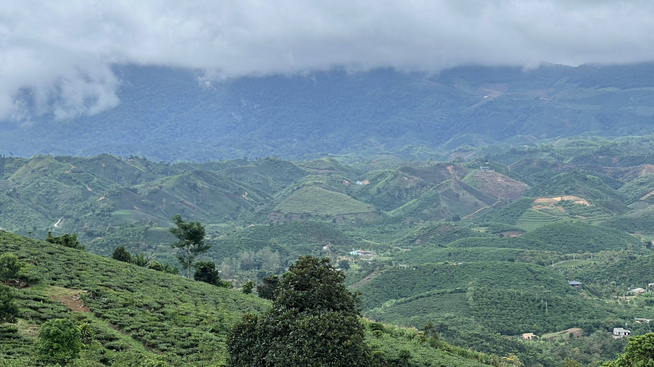 View ôm Trọn Thung Lũng Lộc Thành