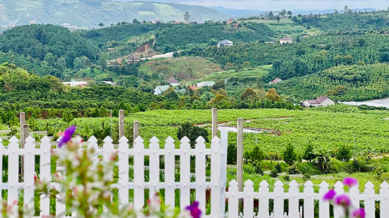 Hướng Dẫn đầu Tư đất Nền