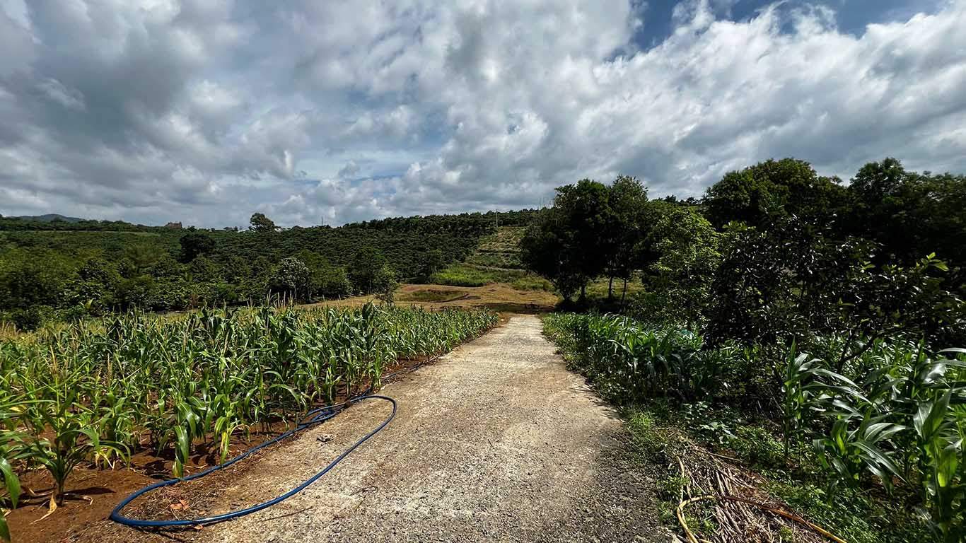 Mảnh đất Lộc Ngãi