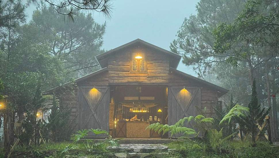 Sương Sớm Nhà Trong Rừng