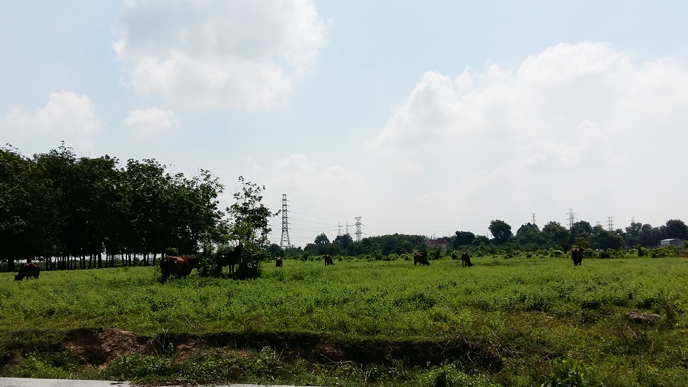 Đất Không Lối đi Có được Lên Thổ Cư Hay Không?