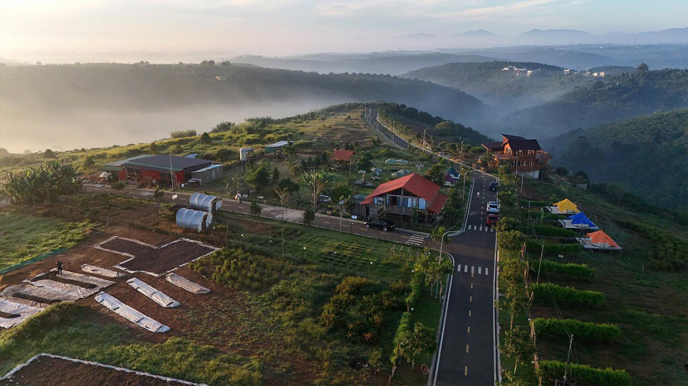 Khu đất nền Đồi hoa gió bảo lộc gần cao tốc, diện tích 150 500m², lý tưởng cho homestay