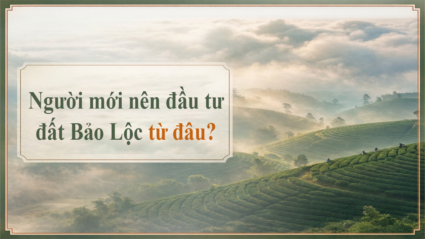 Người mới đầu tư đất Bảo Lộc từ đâu