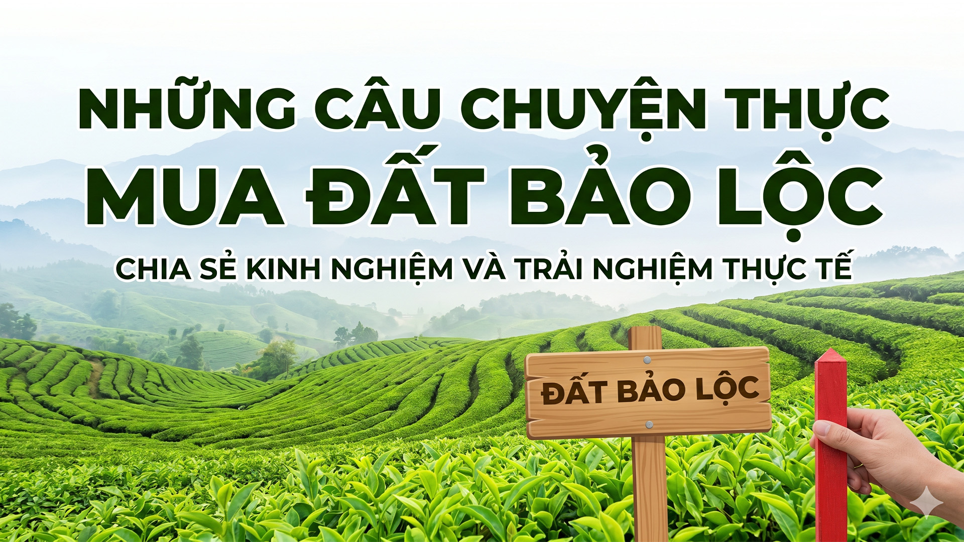 Những câu chuyện thực tế mua đất bảo lộc